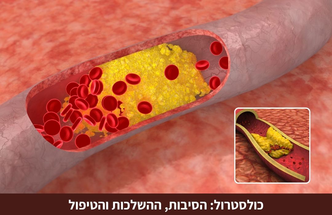 כולסטרול הוא חומר שמנוני, אחד ממרכיבי השומנים בדם, משמש ליצירת תאים ולבנות את הדופן שלהם, 75% מהכולסטרול נוצר בכבד מחומצות שומן רוויות.