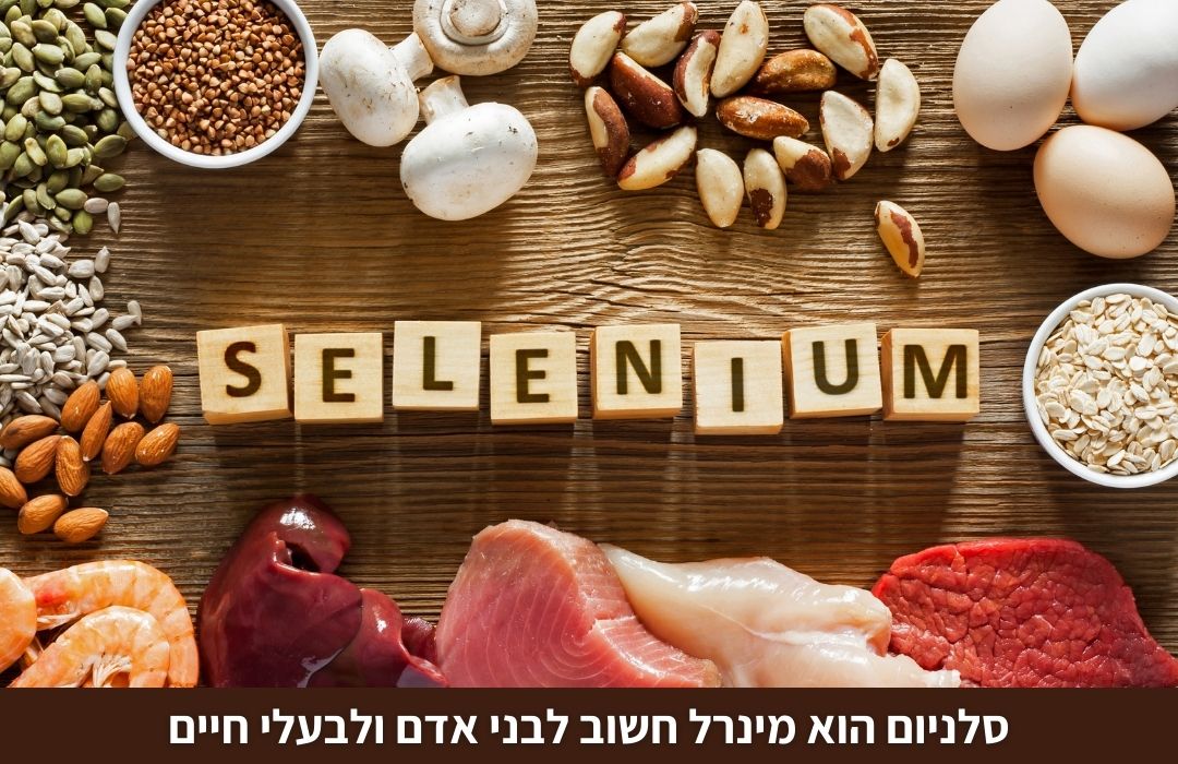 סלניום הוא מינרל חשוב לבני אדם ולבעלי חיים. הוא נמצא במזון מן הצומח דוגמת אגוזי ברזיל, אגוזי מלך, חיטה מלאה, קינואה וזרעים שונים.